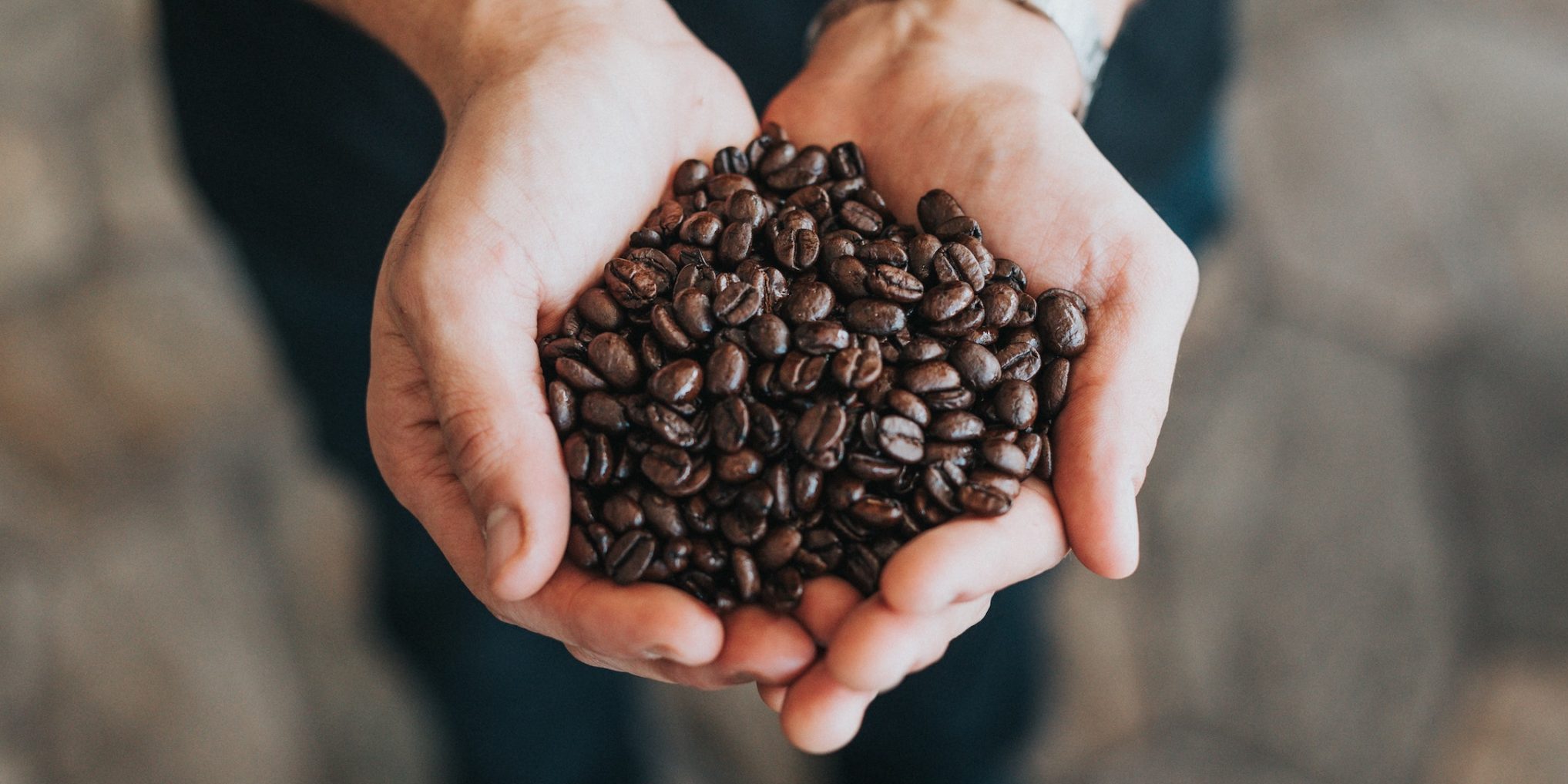 Types of Coffee Beans | Coffee Very Much
